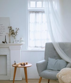 home, furniture, interior, sofa, room, table, chair, puppy, decoration, house, window, wall, furniture, sofa, sofa, sofa, sofa, sofa, room